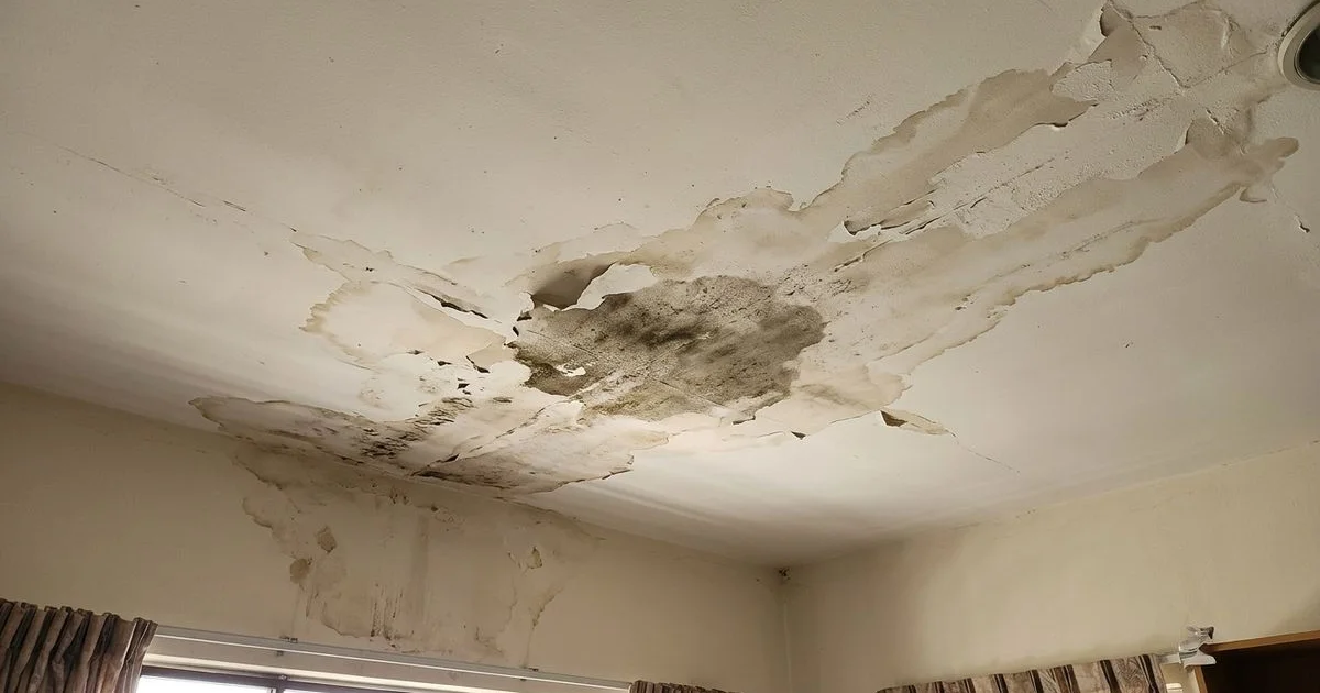 Persistent ceiling leak showing water stains and peeling paint inside a Malaysian residential home