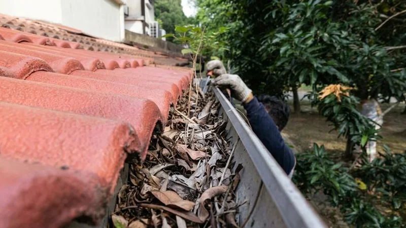 Close-up photograph of leaves twigs and tropical debris clogging a residential rain gutter on a Malaysian home